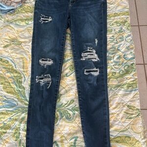 American Eagle Outfitters Dark Blue Distressed Skinny Jeans